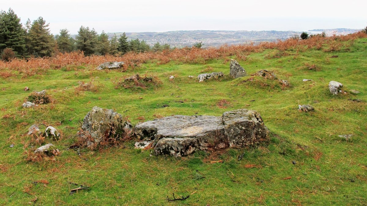 Mandale 1 harrespila, Bera