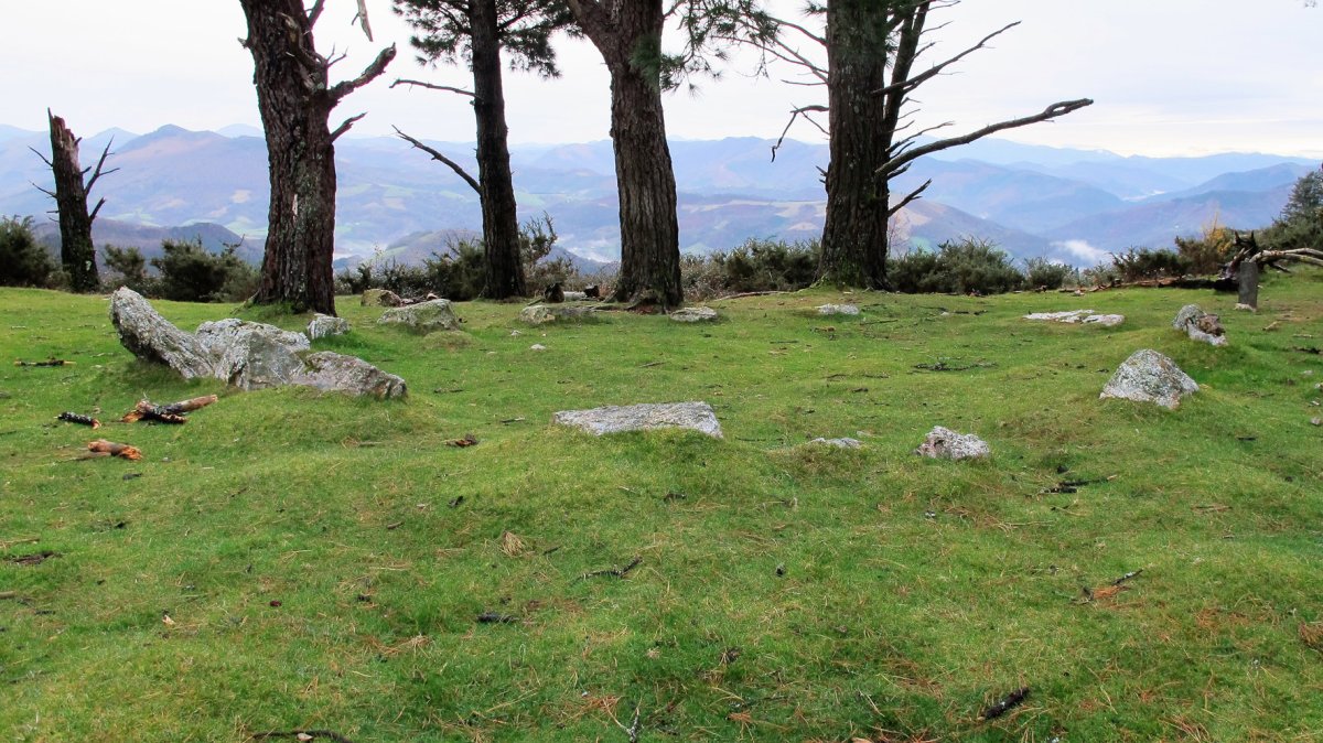 Mandale 2 harrespila, Bera