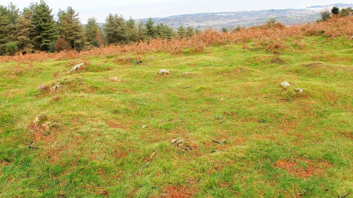 Mandale 3 harrespila, Bera