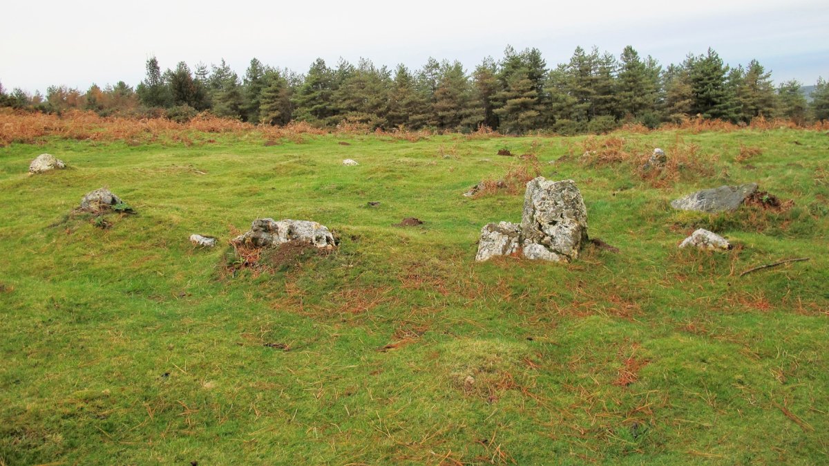 Mandale 4 harrespila, Bera