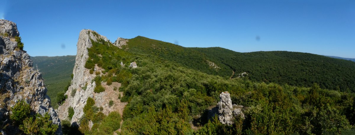 Encino del Herrero Ocijo harritik