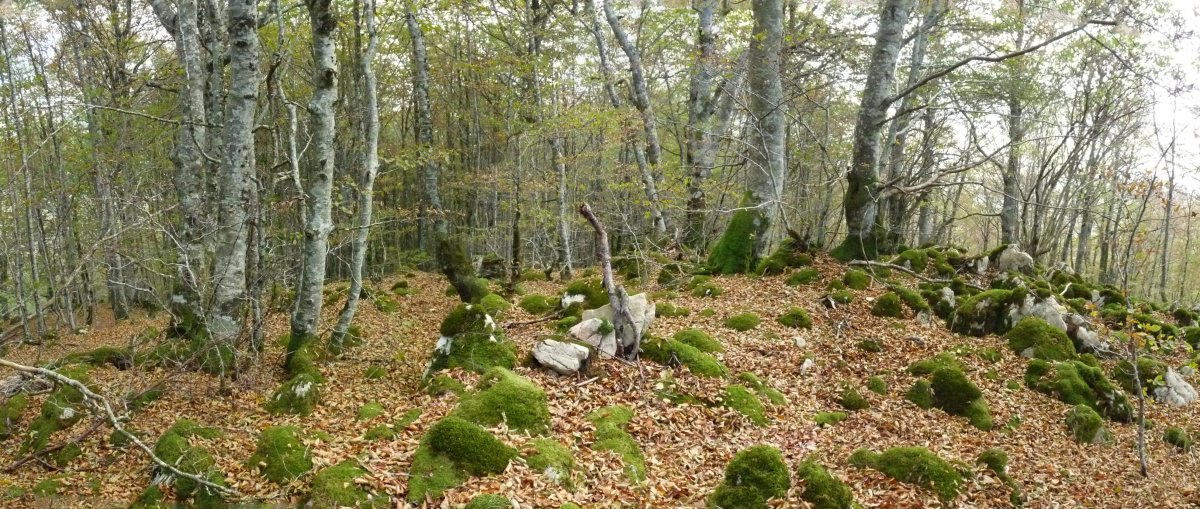 Iontzako gailurra (960m)