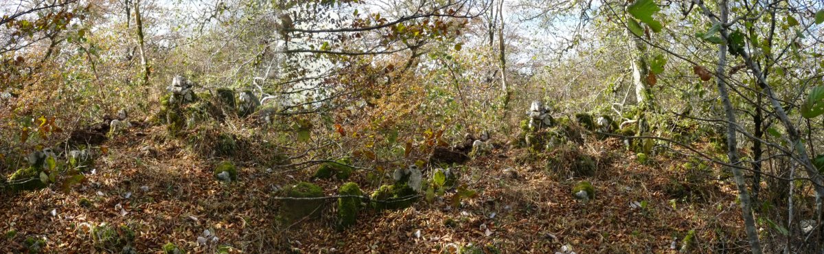 Arpalatsko gaiilurra