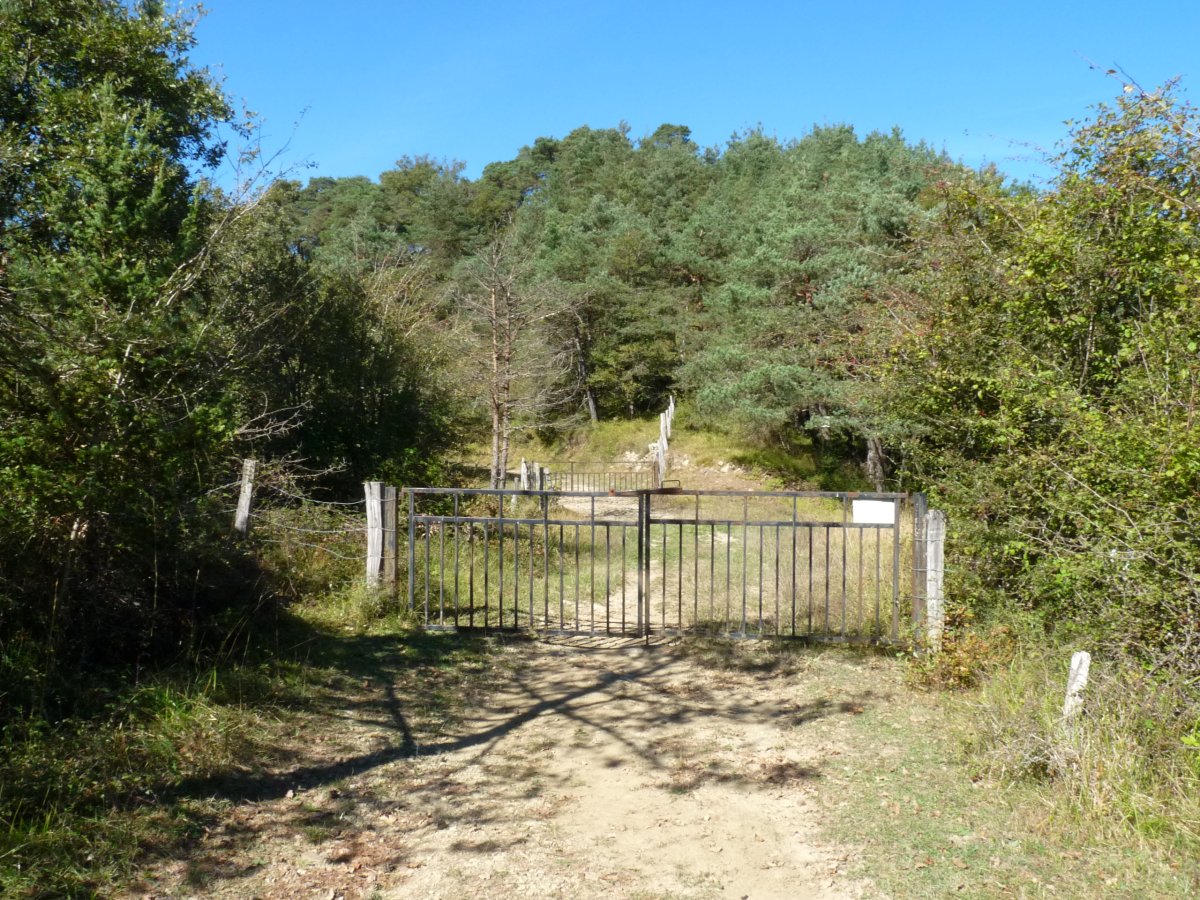 Langa, Otsamunuko lepoan