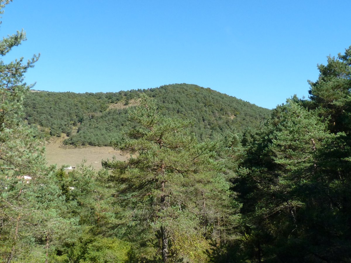 Enaburu mendia, Etsain gainean