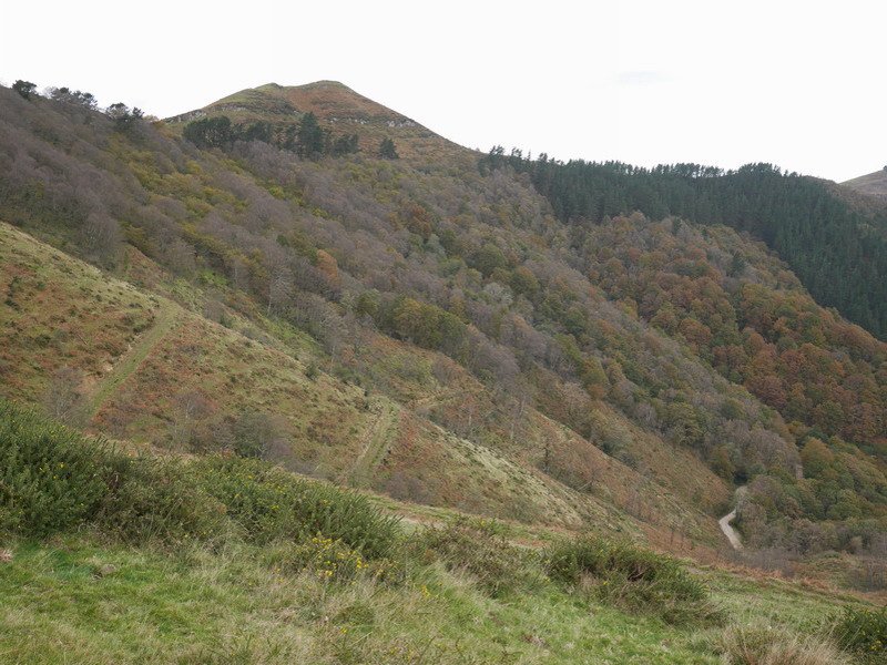 Betaio ekialdetik ikusita