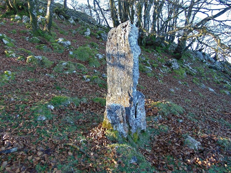 Arrietabaso Zutarria