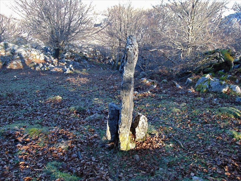 Arrietabaso Zutarria