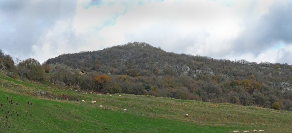 Ttuturru, Goldaratzko bidetik