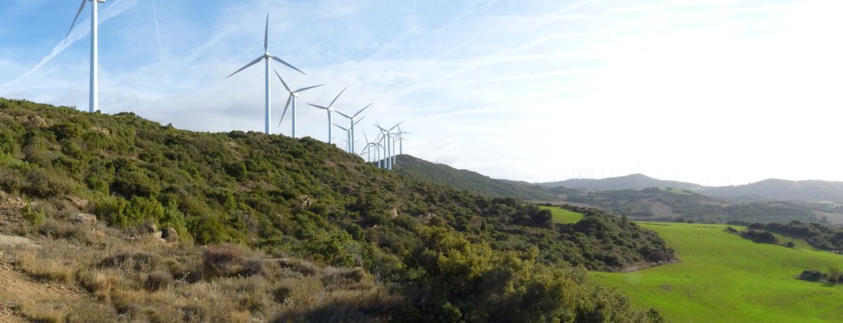 Valdelobosko gainak, haizerrotek hartuta