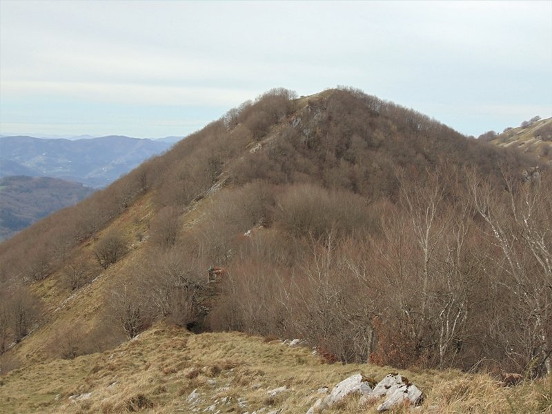 Erniozabal Ingurutik