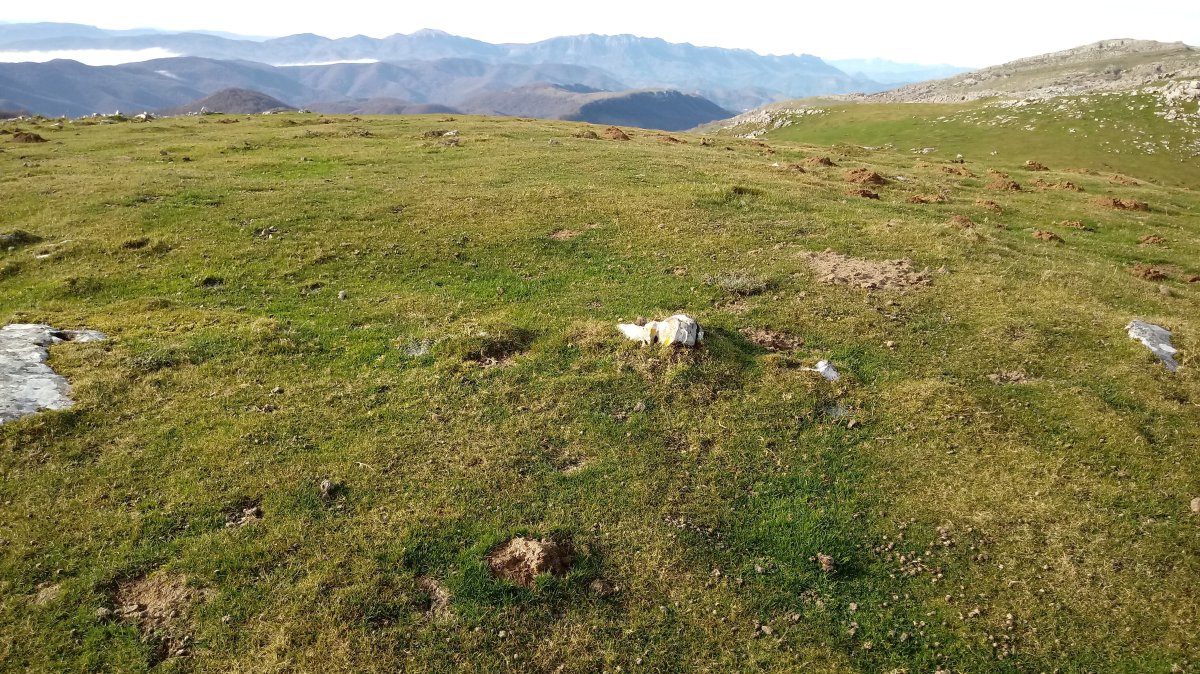 Olamuño Gaña 2 harrespila