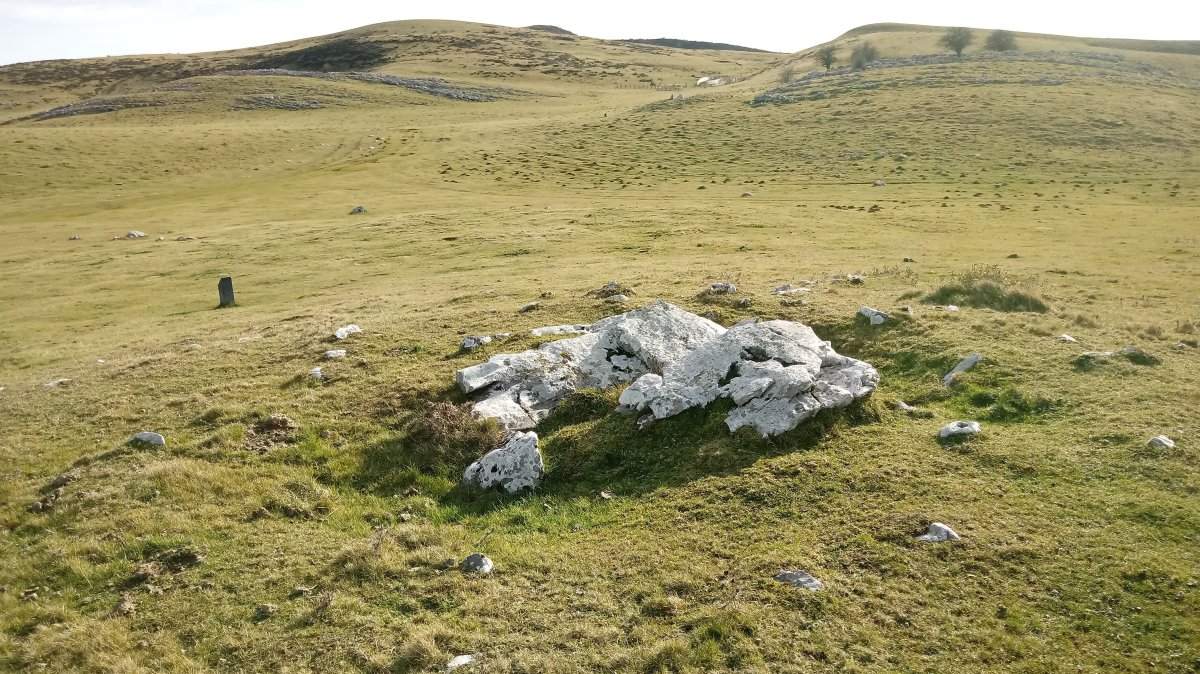 Igaratza Iparra trikuharria 3