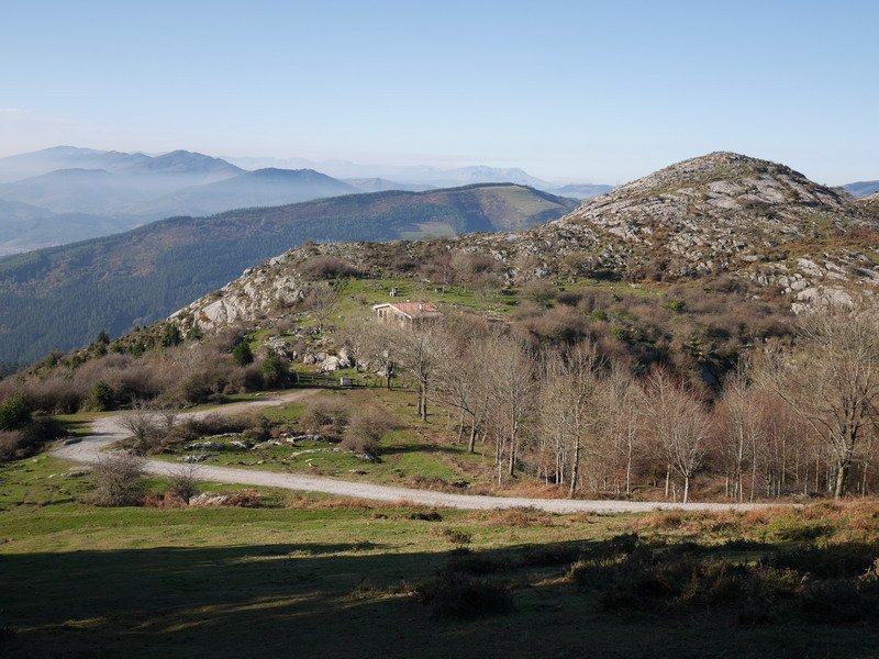 La Berenilla aterpea eta Arboriko tontorretako bat