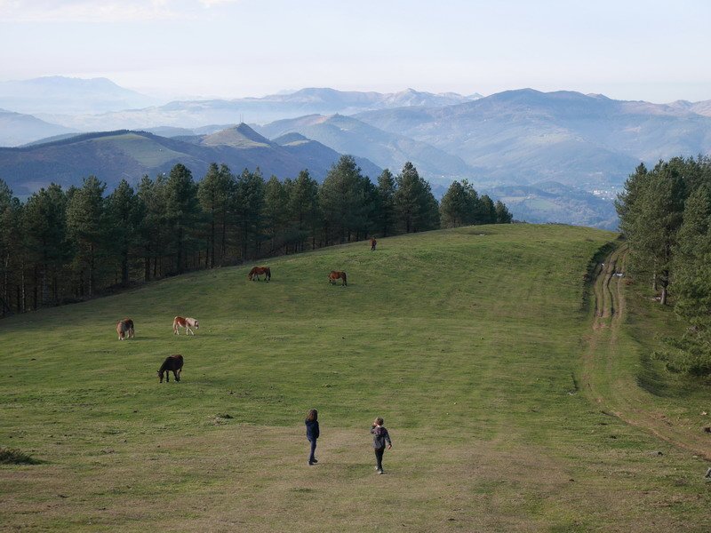 Mendebaldeko hegaletik jaisten