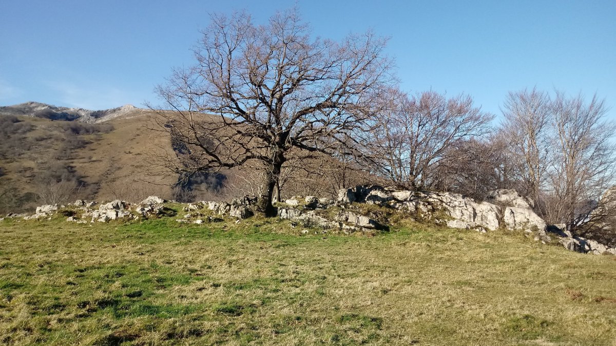 Arbe (731m) tontorra