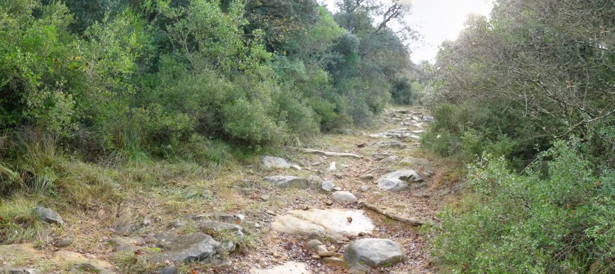 San Lorenzoko bide ederra