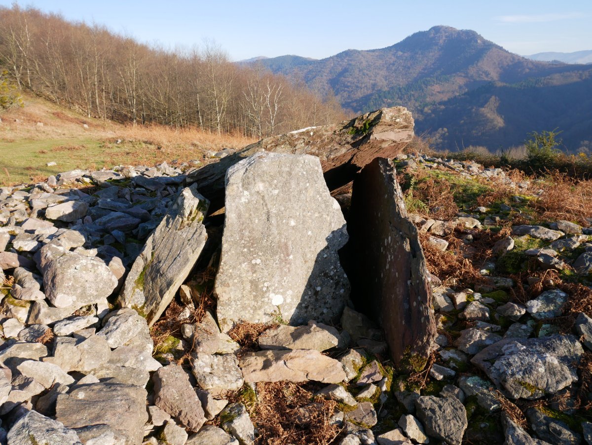 SAGASTIETAko Lepua I trikuharria