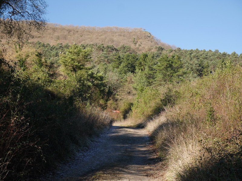 Eskorieta ekialdetik ikusita