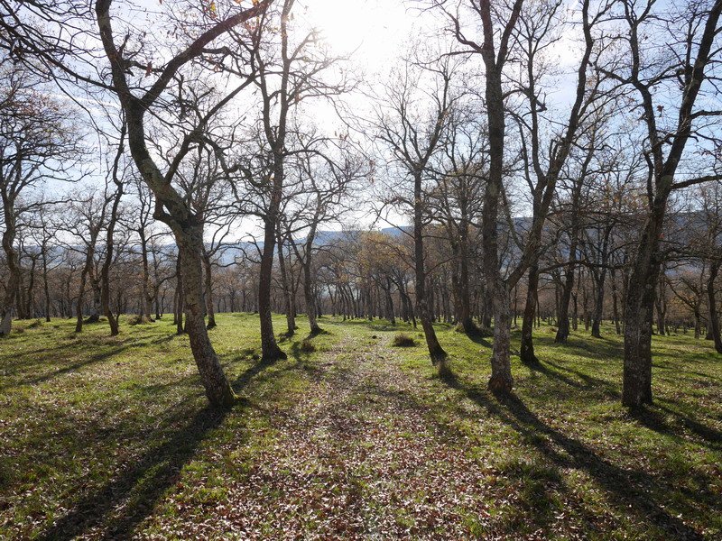 Hegoaldeko magaleko bidea