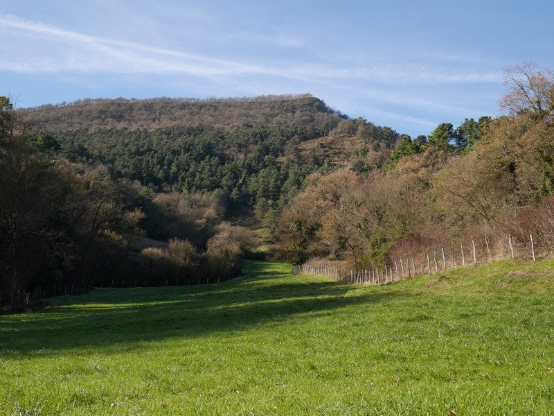 Eskorieta ekialdetik ikusita