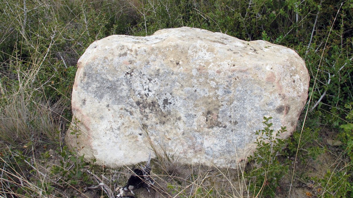 Soplahogueras zutarria, Artaxoa