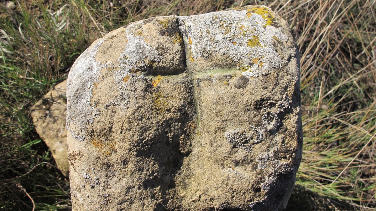 Mugarria, Artaxoa-Barasoain