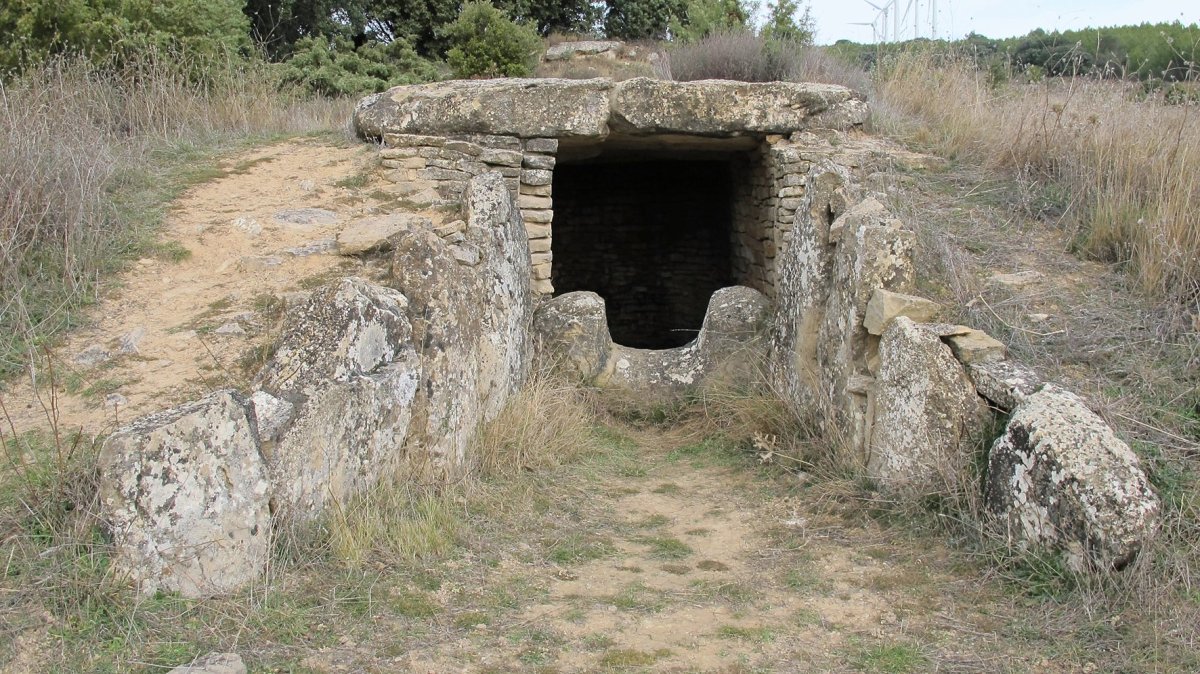 Longar hipogeoa, Viana