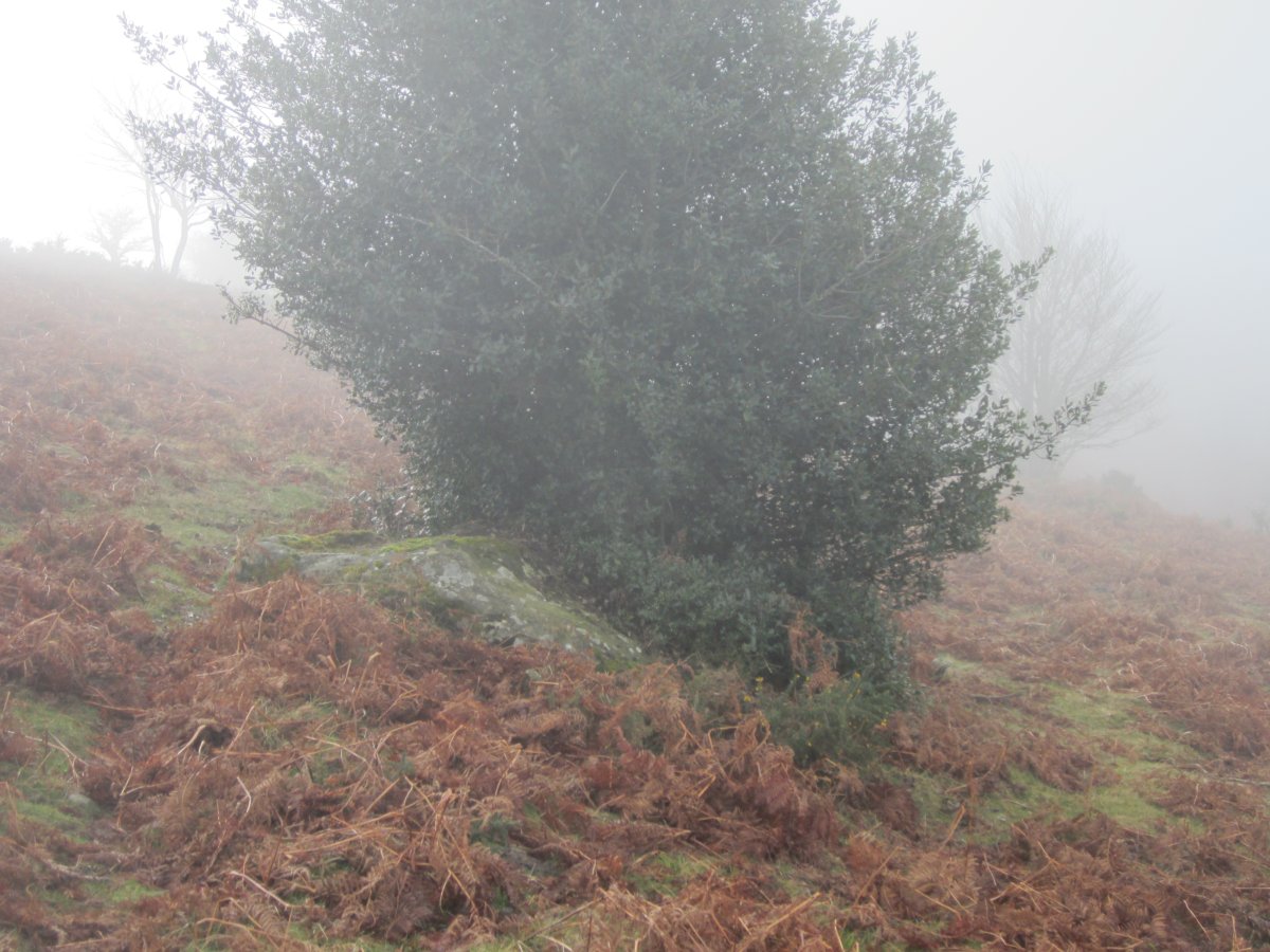 Monolito Milpiribil  (Diciembre 2016)