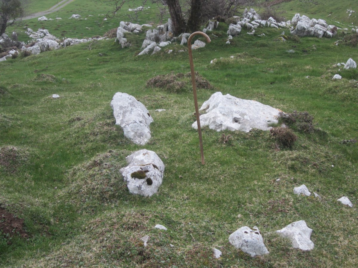 Dólmen Etzantza*  (Abril 2015)