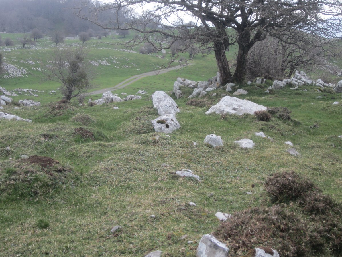 Dólmen Etzantza*  (Abril 2015)