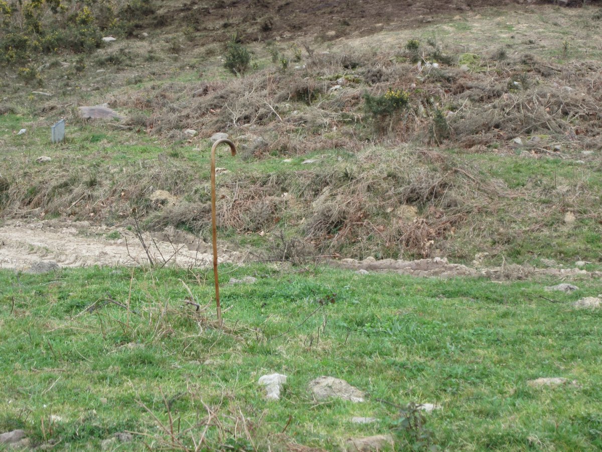 Dólmen Landarbaso VII* (Detrás el Dólmen VI Marzo 2013)