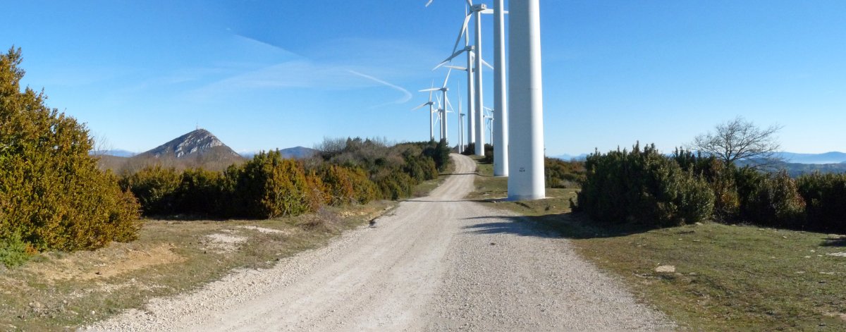 Karbatokiko haizerrotak