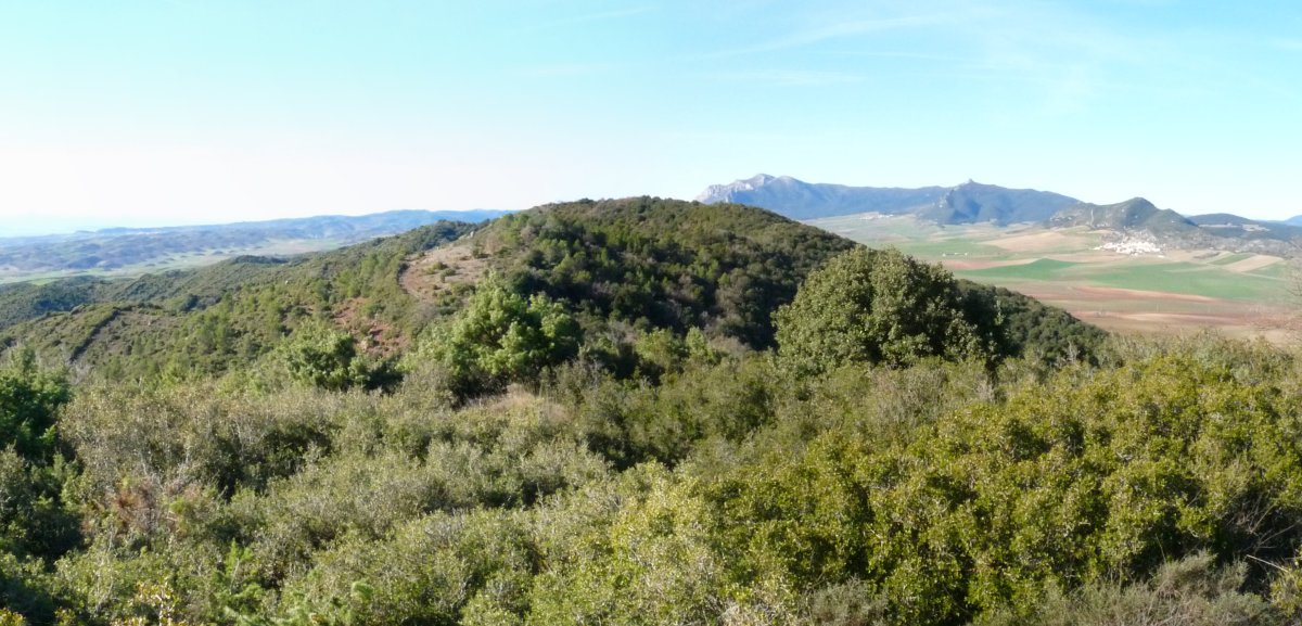 Learza mendia, ekialdetik