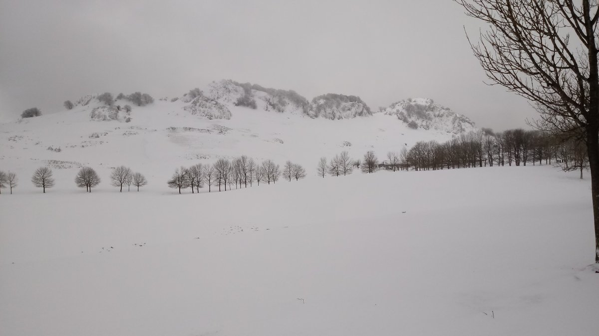 Zabalaitz (2019-ko otsailak 3)