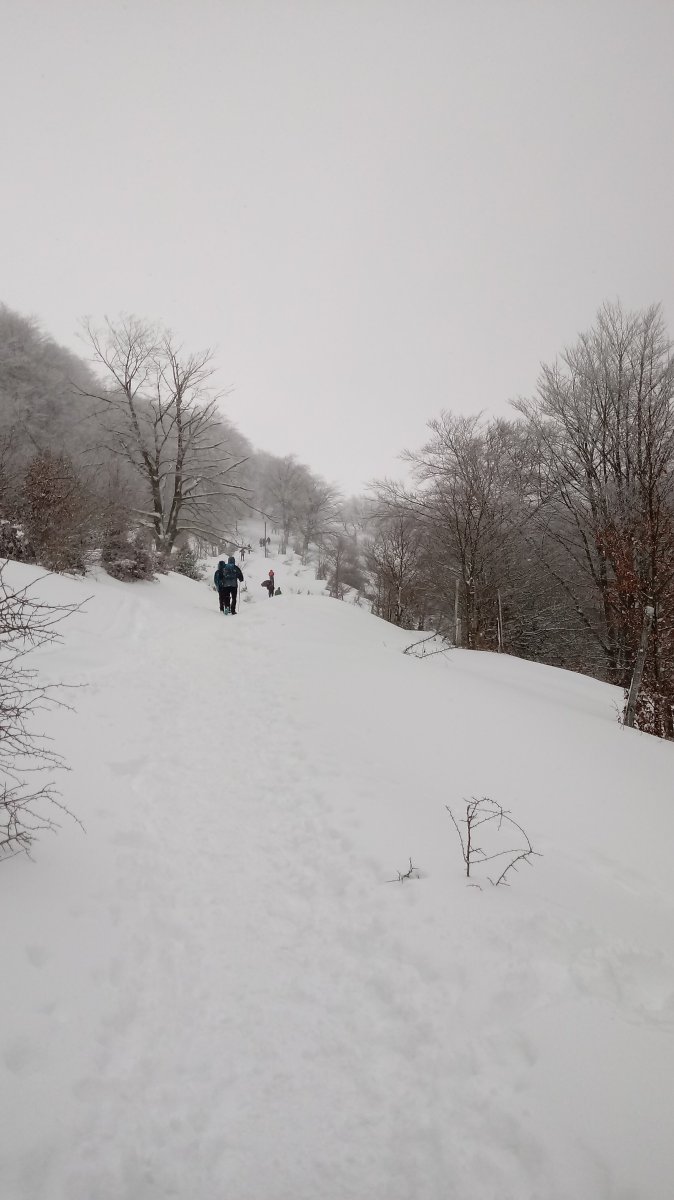 Elorrolako Lepora igotzen