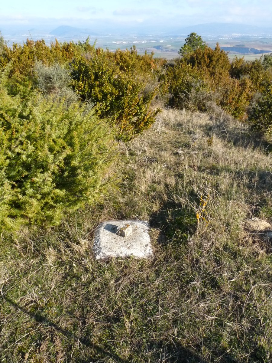 Tako geodesikoa gailurrean