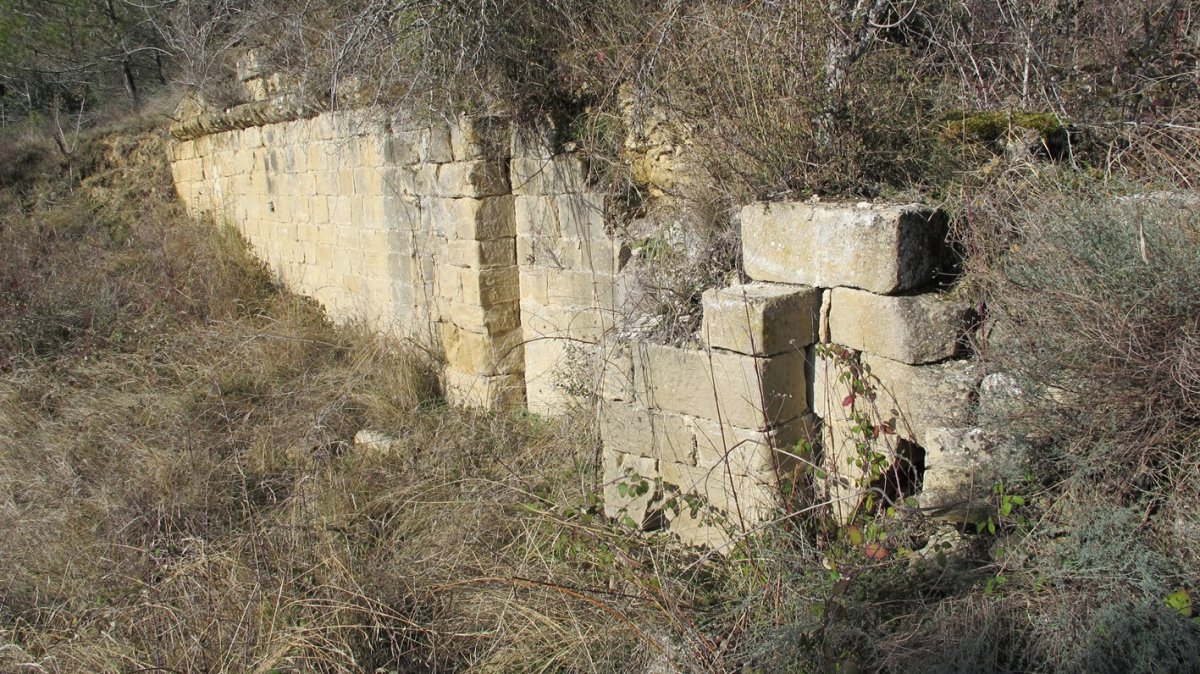 San Andrés de Longar elizaren hondakinak, Viana