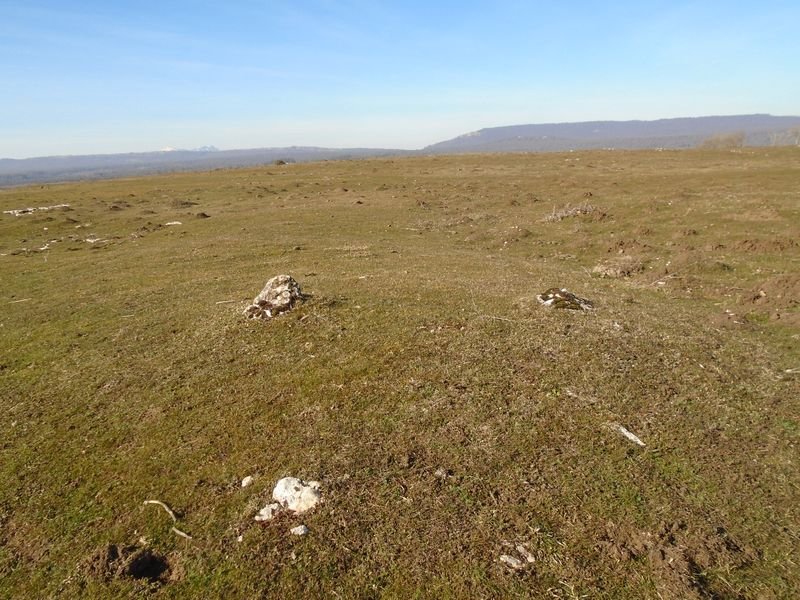 iruleze hego 5 tumulua