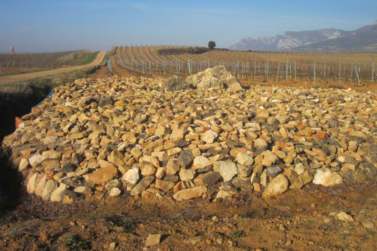 Dólmen El Encinal  (Febrero  2019)