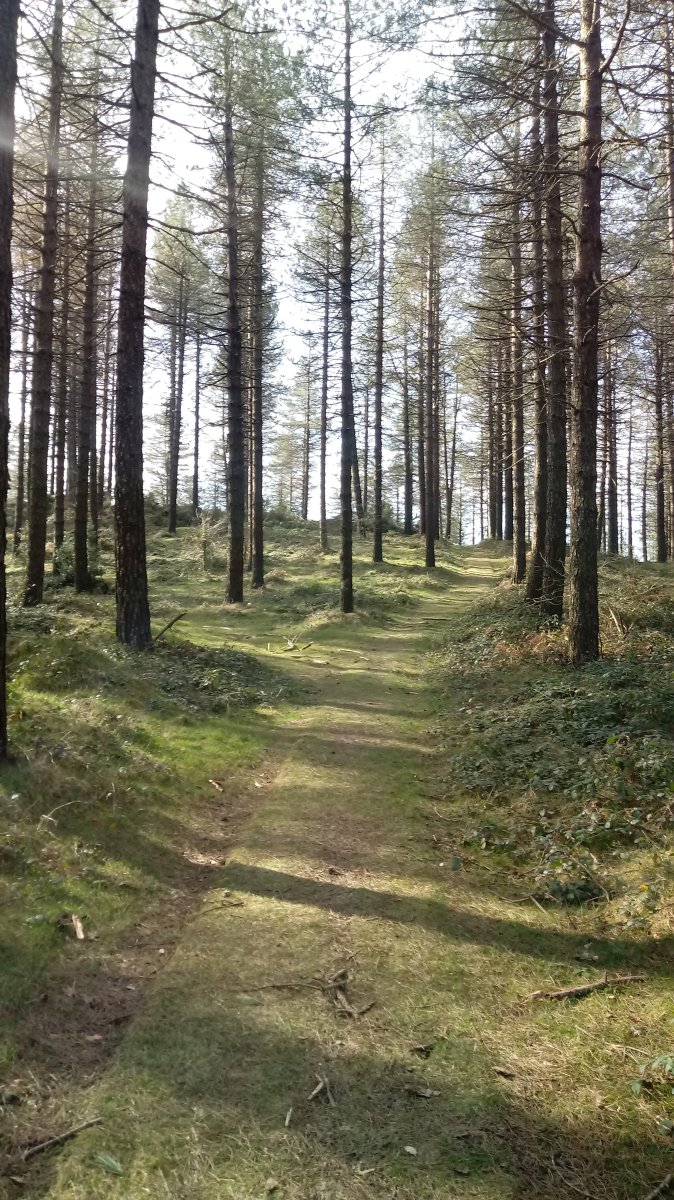 Maroto (864m) azken aldapa