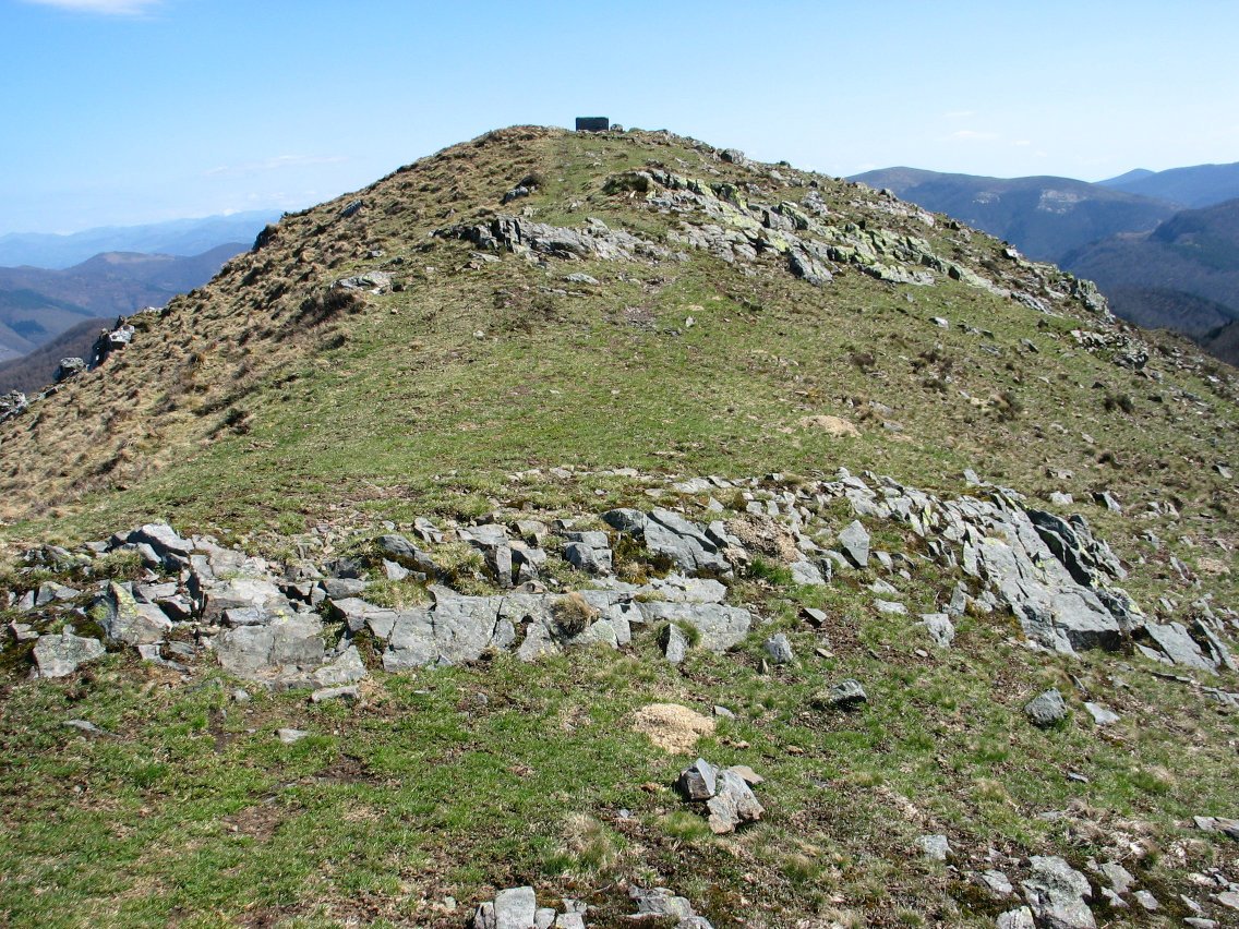 Tontorra Mko bizkarretik