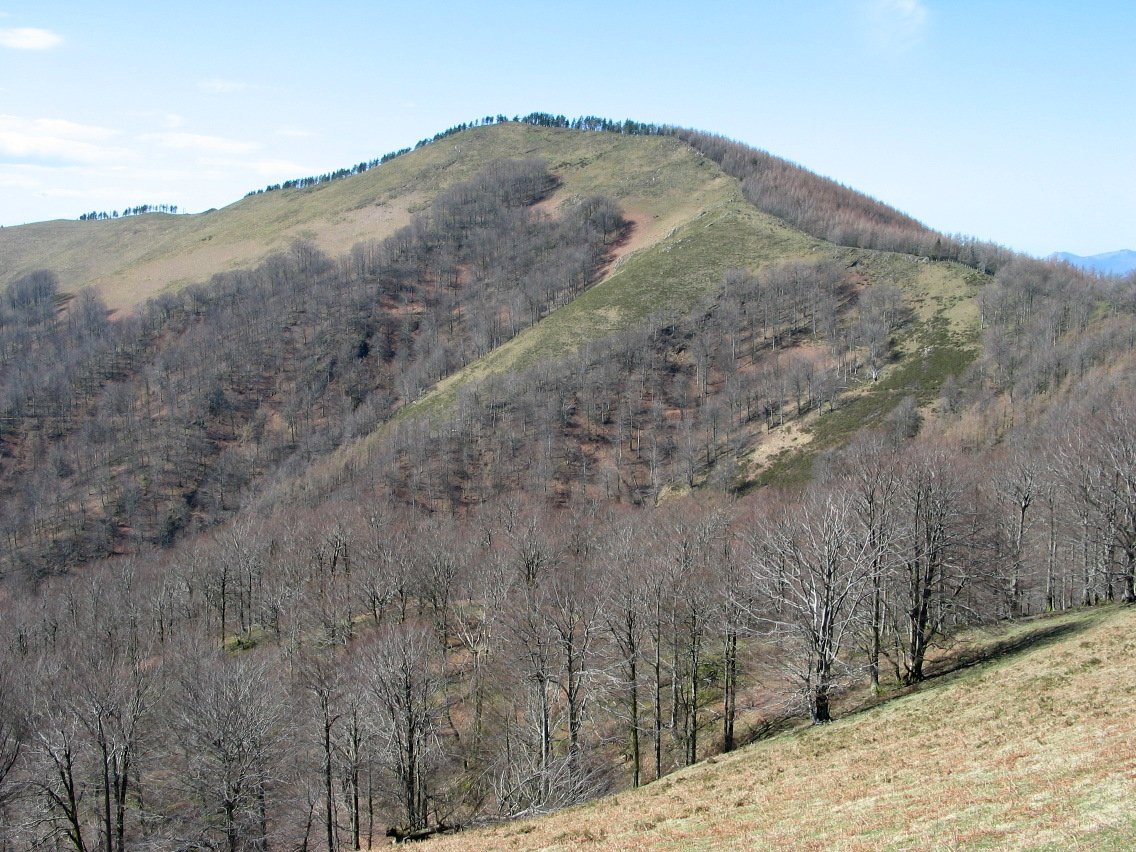 Urepel aldetik ikusita