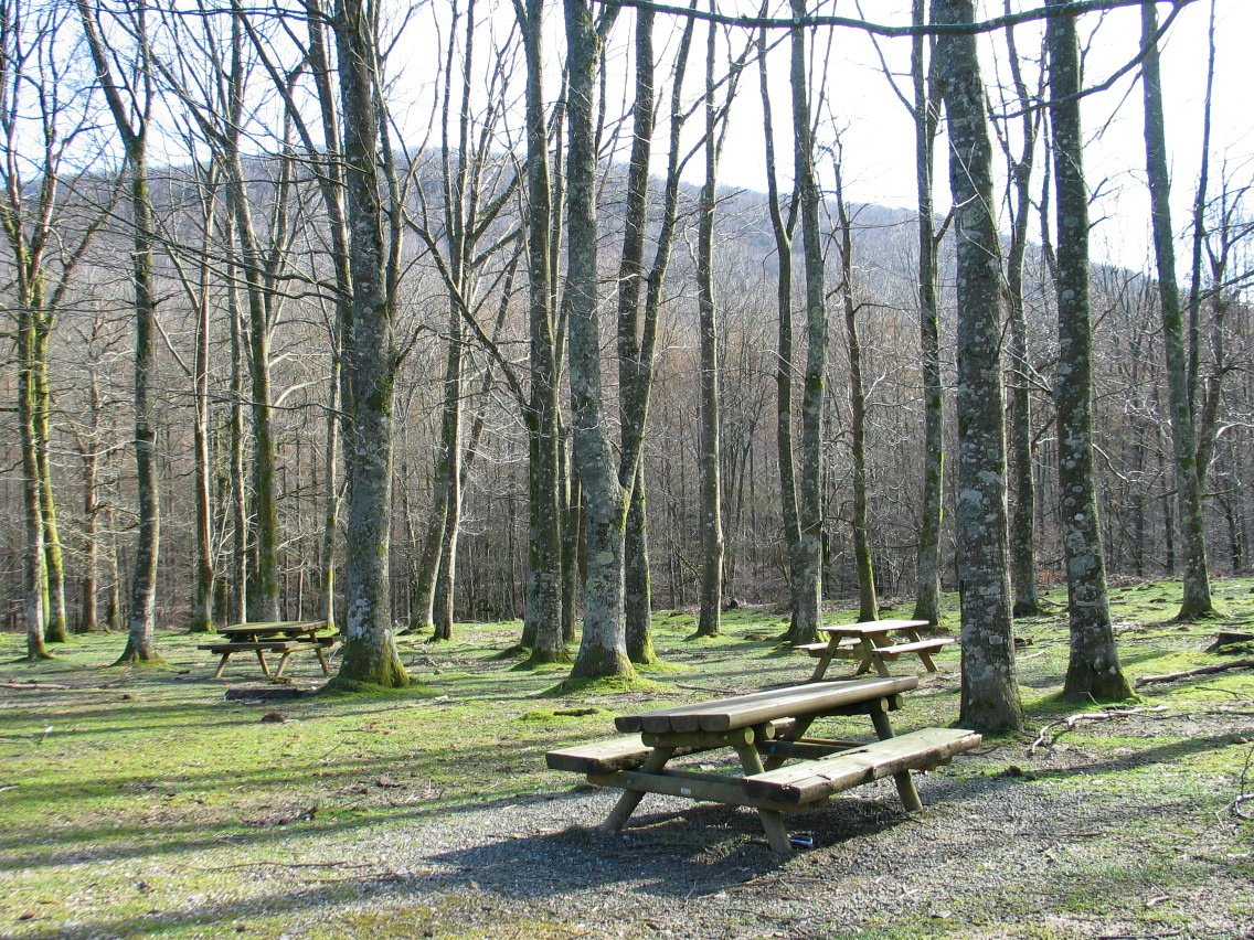 Mahaiak Leitzalarrea aldean