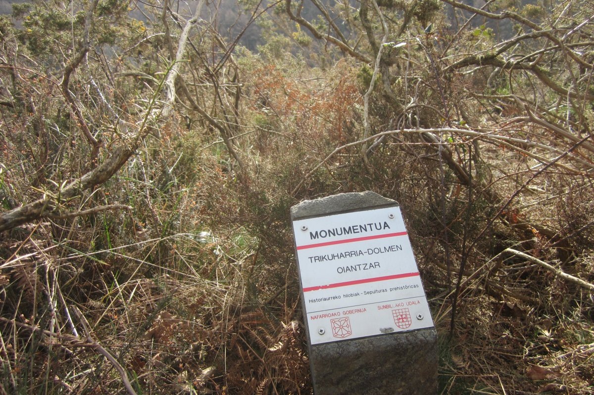 Dólmen Oiantzar   (Febrero  2019)