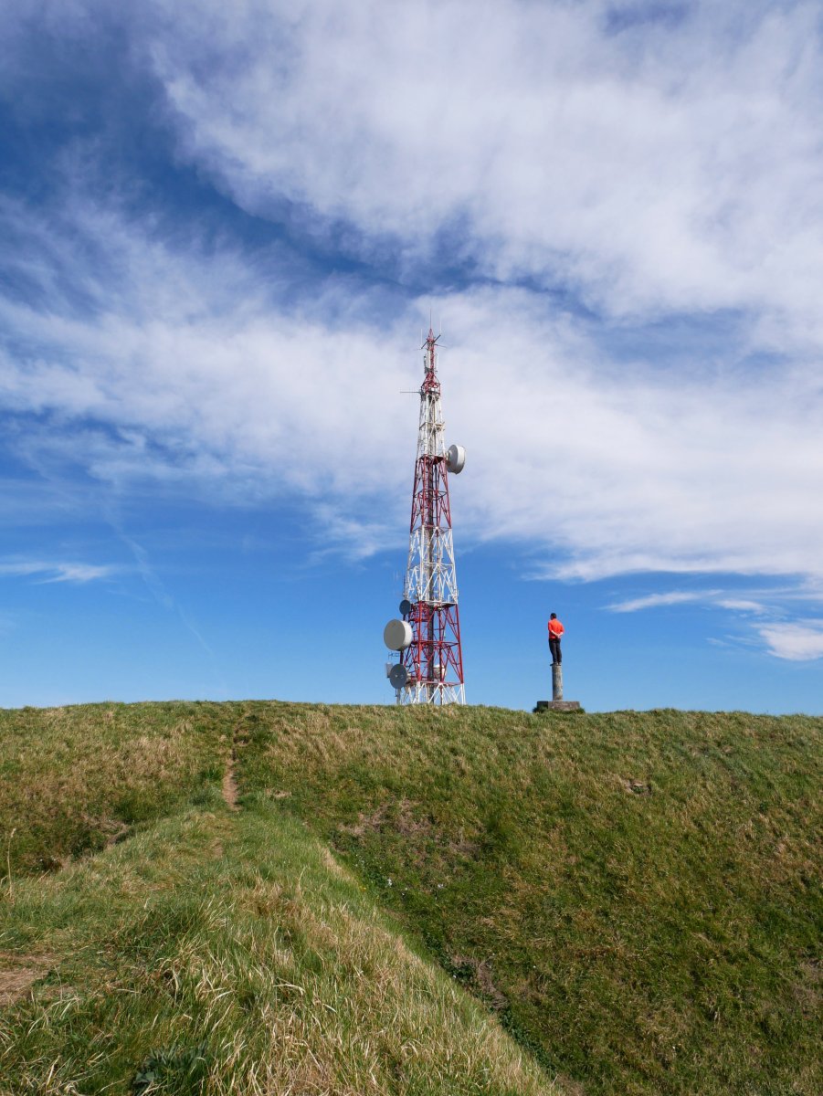 Txoritokieta tontorra