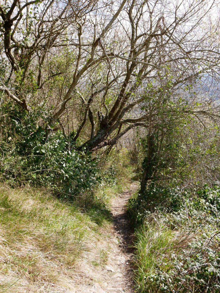 Txoritokietatik jaisten