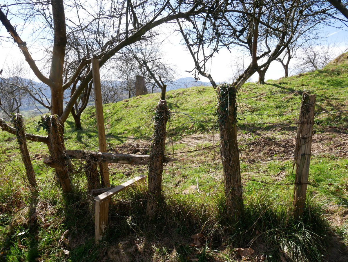 Txoritokietako zutarriaren aldamenetik pasatzen da bidea