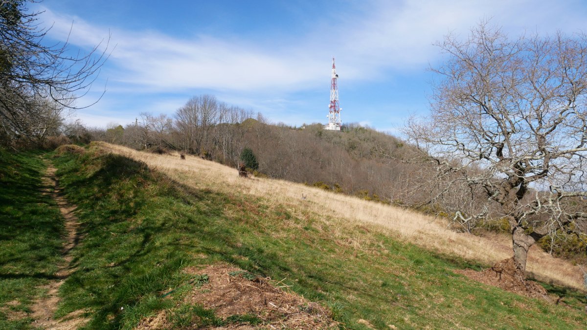 Txoritokieta Floreagako bizkarreko bidetik