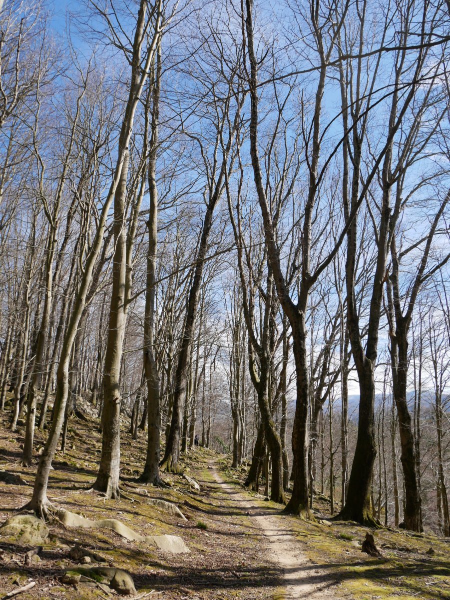Aitzetako Txabalaren inguruan